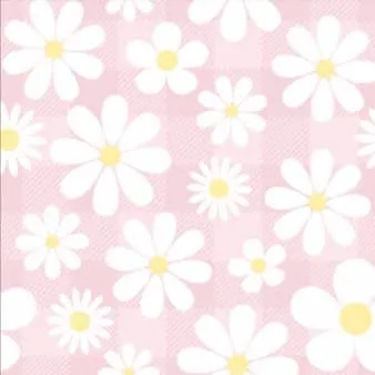 infant dresses (0-6 months)